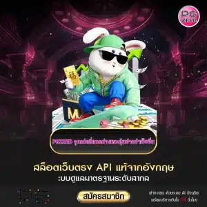จุดเด่น PGZEED